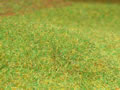 17.11.2006 - Hier noch ein Zoom auf den gerade aufgebrachten Rasen - schön aufrecht stehende Grasfasern.