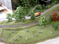 27.04.2008 - Eine kleine Kuhherde am Bahndamm. Leider wurde bersehen, dass die Herden meist zusammen stehen/grasen, was aber der Szene keinen Abbruch tut.